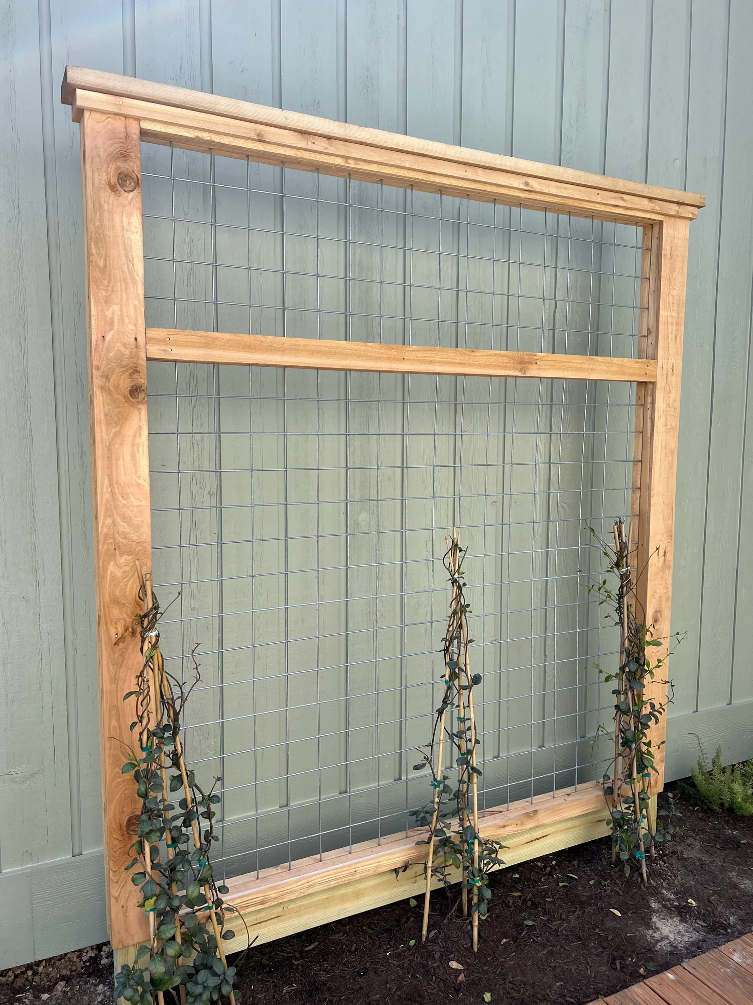 Fencing project completed by Bel Fence