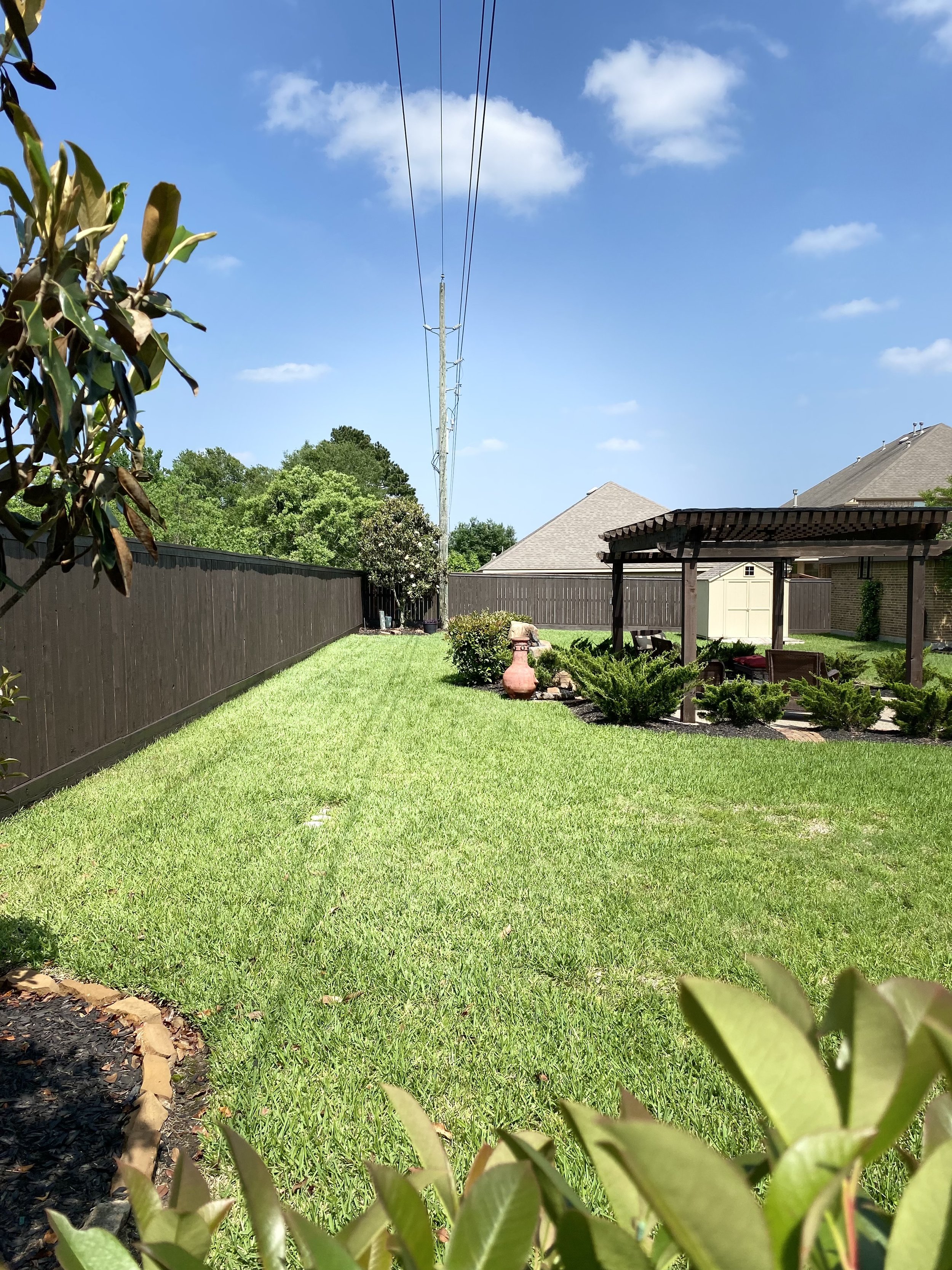 Fence painting